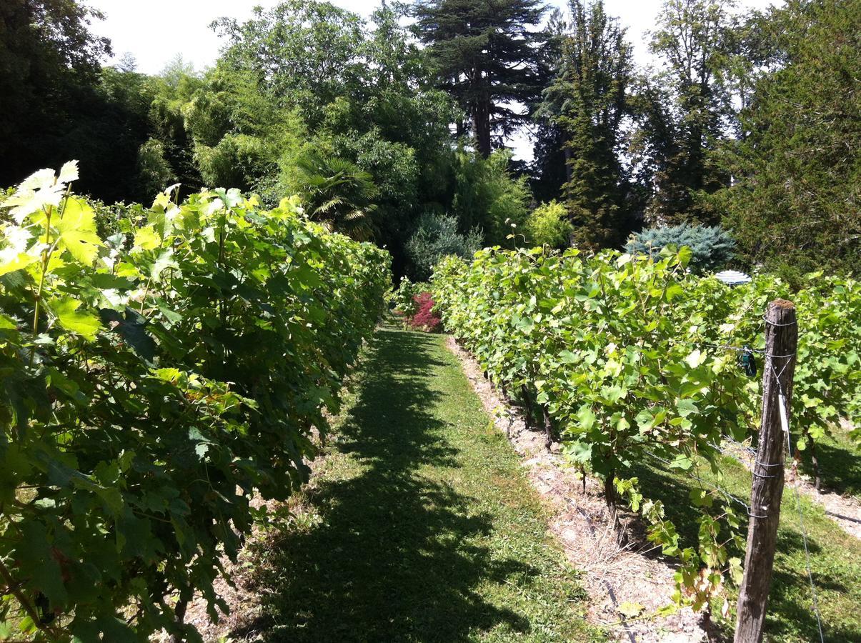 Chateau De Beaulieu Saumur Εξωτερικό φωτογραφία